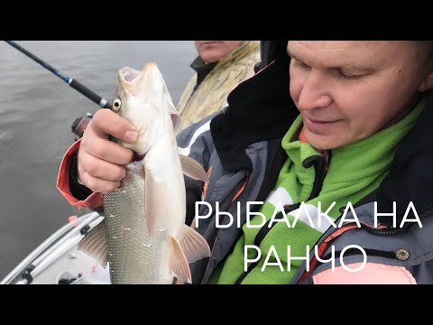 Видео: Продолжение рыбалки на Ранчо, база впечатляет!