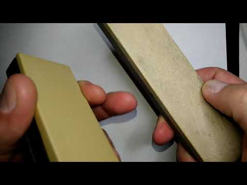 Видео: Бельгийский котикул. Продажа.