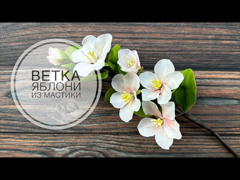 Видео: Ветка яблони из мастики / Apple tree branch made of sugar paste