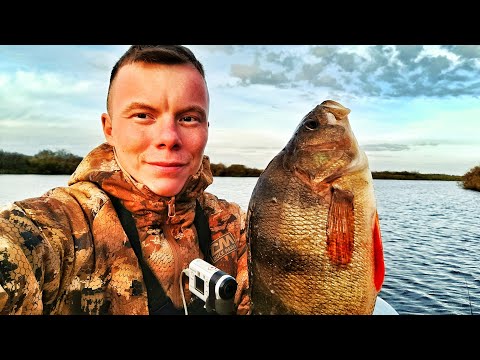 Видео: ВОДА КИПИТ ОТ РЫБЫ ПОД ЛОДКОЙ!!! ЛЮТАЯ РЫБАЛКА В ЗАПОЛЯРЬЕ!!