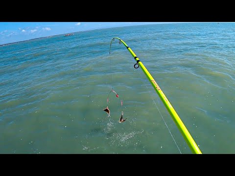 Видео: Плоская, но вкусная – ловим камбалу в море!
