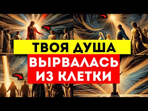Видео: 🌟ИЗБРАННЫЕ🌟 ОНИ В ПАНИКЕ, КОГДА ВЫ СБЕГАЕТЕ ИЗ КЛЕТКИ, В КОТОРОЙ ОНИ ВАС ЗАПЕРЛИ