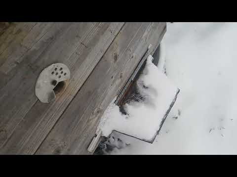 Видео: Погодка ........ -5 , снег и ветер . 29 апреля . Зимуем дальше .