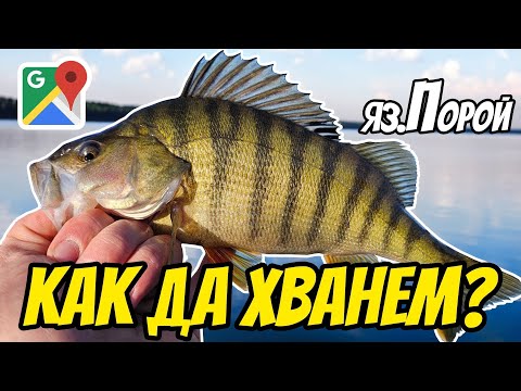 Видео: АКТИВНИ ЗИМНИ КОСТУРИ.Язовир ПОРОЙ.