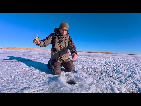 Видео: ҚЫСҚЫ БАЛЫҚҚА БАРЛАУ!!!