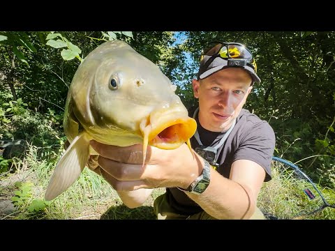 Видео: Как поймать Большого Карпа в Сентябре? Рыбалка на Попапе!