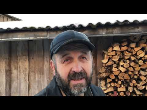 Видео: Бесплатные корма для кроликов!