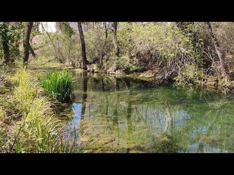 Видео: Рыбалка во Франции. Поиск новых мест. Разведка
