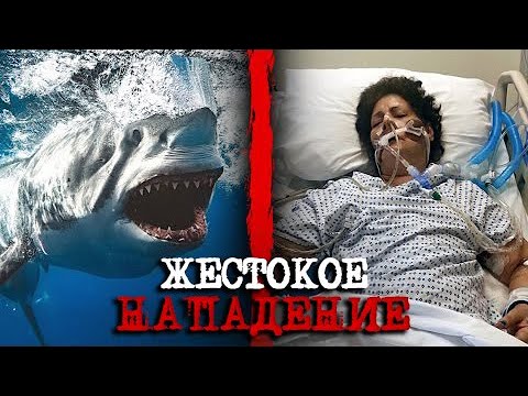 Видео: Эта Акула Смертельно Изувечила Габриэлу Васкес в Аквариуме