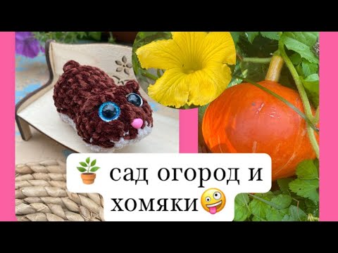 Видео: Мой огородик🌺Вязаные игрушки 🧸 пустые баночки