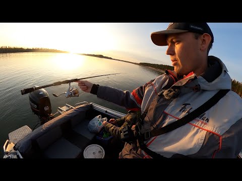 Видео: Рыбалка осенью на ОБИ с лодки. Вечерка. Ловля щуки.