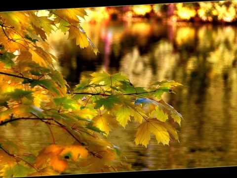 Видео: А. Непомнящий - Нуфутурестический блюз