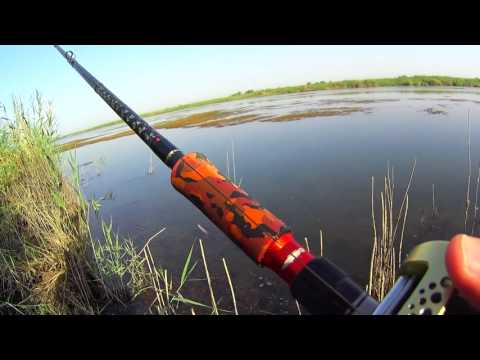 Видео: Осенний змееголов - выезд 10 сентября / Autumn Snakehead Games