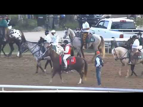 Видео: R8 ЧЕРЧИЛЛЬ-ДАУНС 14 НОЯБРЯ 2025 ГОДА