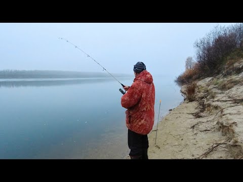 Видео: На Оку за Налимом