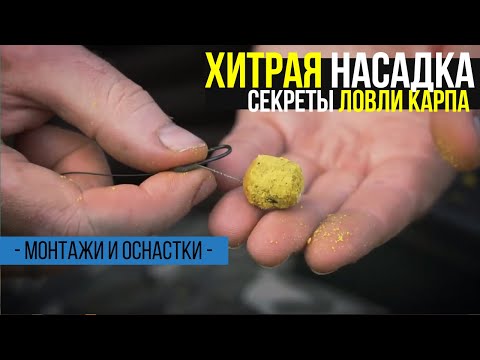 Видео: ХИТРАЯ НАСАДКА НА КАРПА. СЕКРЕТЫ ЧЕМПИОНОВ