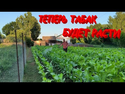 Видео: 8 июля 2025 г.