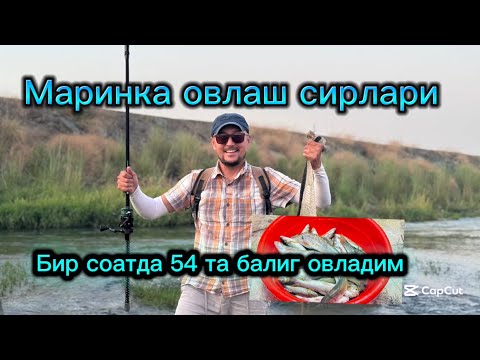 Видео: 😱Жуда куп Маринка ушладим😱 Бунака ов камдан кам булади 3 августа 2025 г.