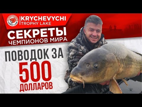 Видео: УРОК 1. Рыбалка на карпа. Поводок, стоимостью 500 долларов!