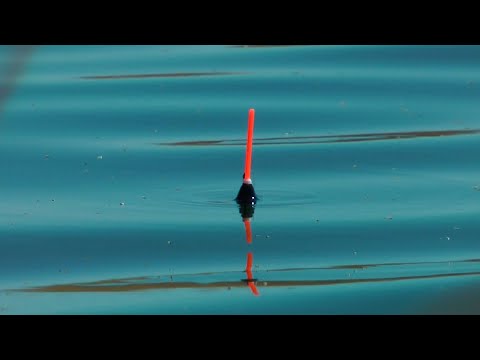 Видео: РЫБАЛКА НА ПОПЛАВОК И НА ДОНКУ! Озеро Балхаш. Весенняя рыбалка.