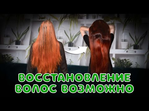 Видео: Восстановление волос возможно! Почему уход за волосами не приносит желаемый результат?