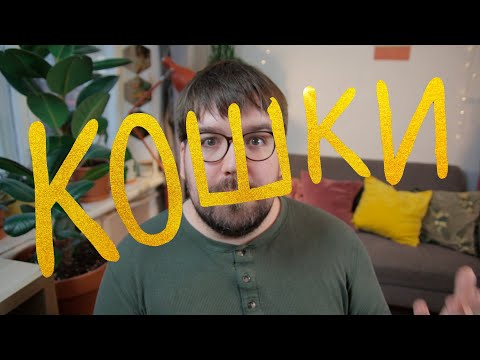 Видео: Кошки, консенсус и культ