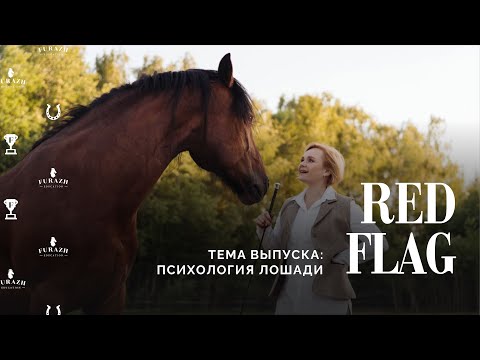 Видео: Red Flag  🚩 Моя лошадь вредная