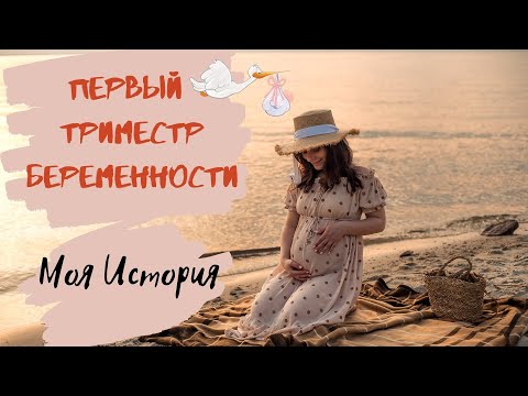 Видео: Моя Беременность. Первый триместр беременности: ХГЧ, перелет на ранних сроках, спасение от токсикоза