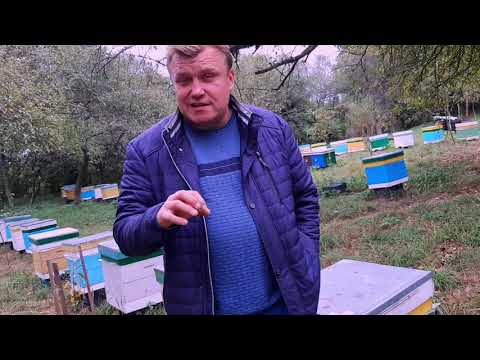 Видео: Промышленая пасека 1200+