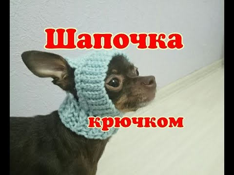 Видео: Шапочка для собаки крючком,  DIY suit for dogs & cats