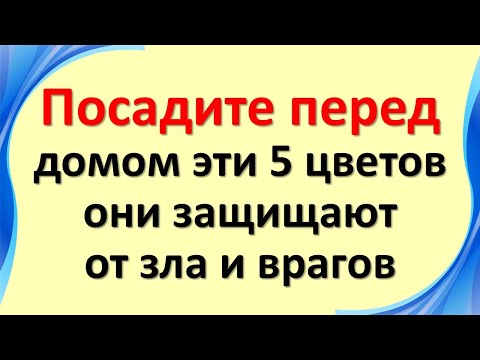 Видео: Посадите эти 5 цветов у порога - и враги не переступят ваш дом никогда