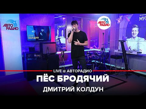 Видео: Дмитрий Колдун - Пёс Бродячий (LIVE @ Авторадио)