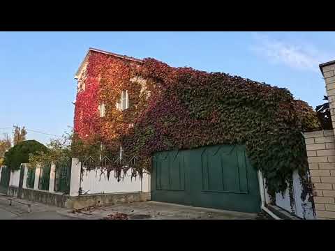 Видео: 6.11.Прогулка по незнакомой и знакомой Анапе. 