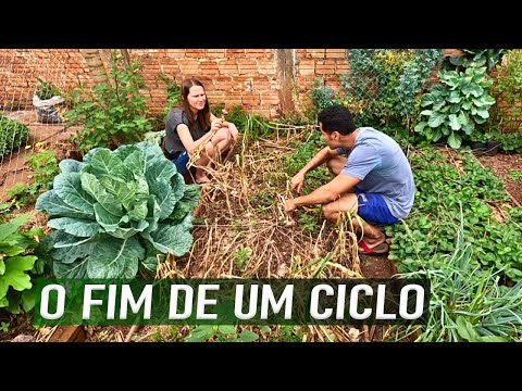 Видео: У каждого цикла есть КОНЕЦ! - Мы должны знать, как распознать и как действовать