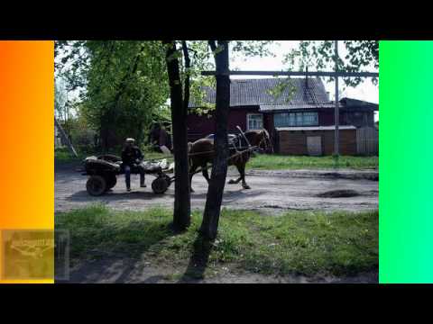 Видео: Мой город Шарья