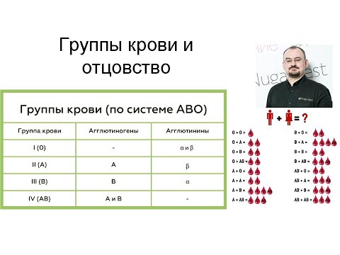 Видео: Определение отцовства по группам крови родителей