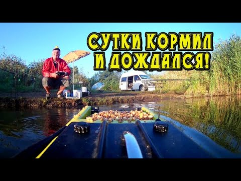 Видео: Рыбалка с корабликом в середине августа! Ставок Желтый! Я уже и верить перестал - а он взял и клюнул