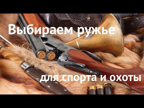 Видео: 🖥 Дмитрий Ильенко в эфире #6 | Как самому выбрать оружие для охоты и спорта