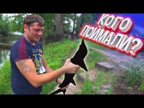 Видео: ПЛАТНАЯ РЫБАЛКА НА ВДНХ