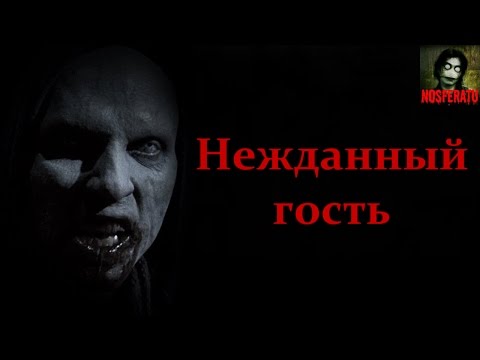 Видео: Истории на ночь - Нежданный гость