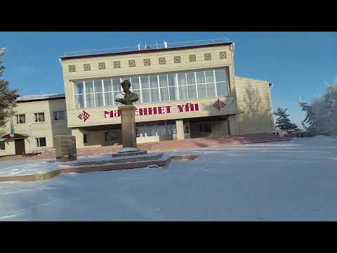 Видео: Сев.Каз.Обл. Саумалколь, ул. Ильина. 11.12.24.
