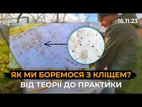 Видео: Як правильно на протязі всього року боротися з кліщем?