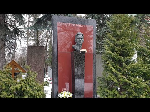 Видео: Советские поэты на Новодевичьем кладбище