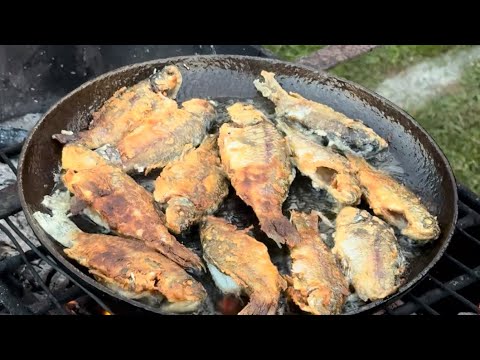 Видео: Рыбалка. Ловим рыбу и жарим на огне в деревне #рыбалка