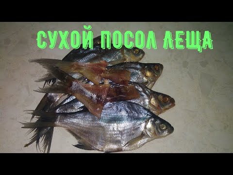 Видео: СУХОЙ посол ЛЕЩА или КАК засолить леща.