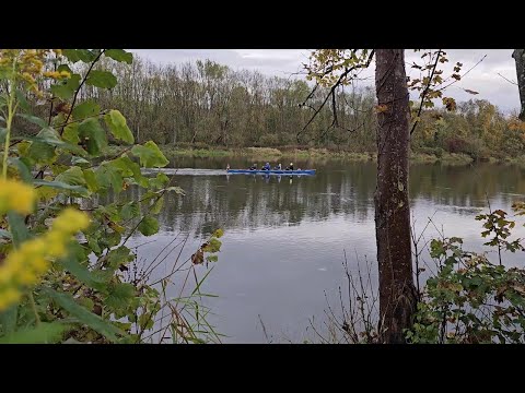 Видео: Жизнь в Германии ,готовлю пельмени, моменты осени.