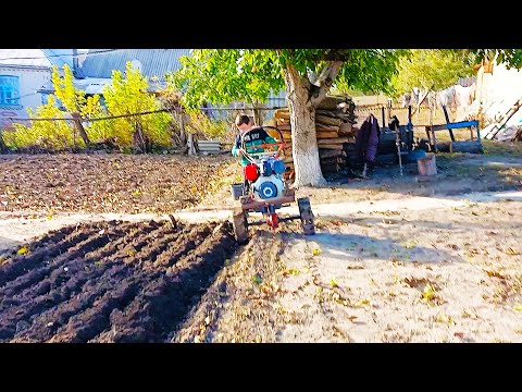 Видео: Оранка мотоблоком на городі