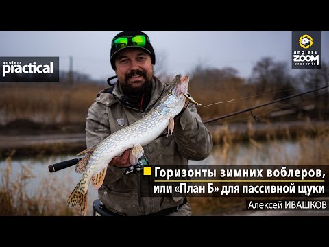 Видео: Горизонты зимних воблеров, или «План Б» для пассивной щуки. Алексей Ивашков. Anglers Practical