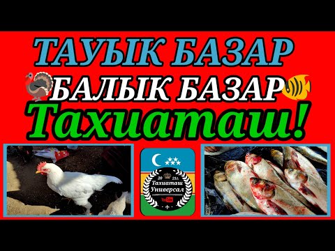 Видео: 14.09.25ж.ТАУЫК-БАЛЫК БАЗАР - ПТИЧИЙ РЫНОК🐓#тахиаташ#каракалпакистан#бахалары#цены#рыба#куры#петух 
