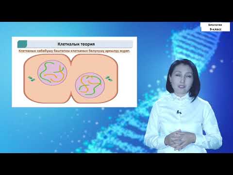 Видео: 9-класс | Биология | Клетканын ачылыш тарыхы жана анын изилдениши